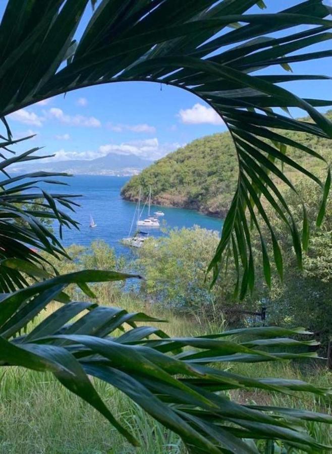 Studio Sainte Anne 2Mn A Pieds De La Plage ,Possibilite Location De Voiture Экстерьер фото